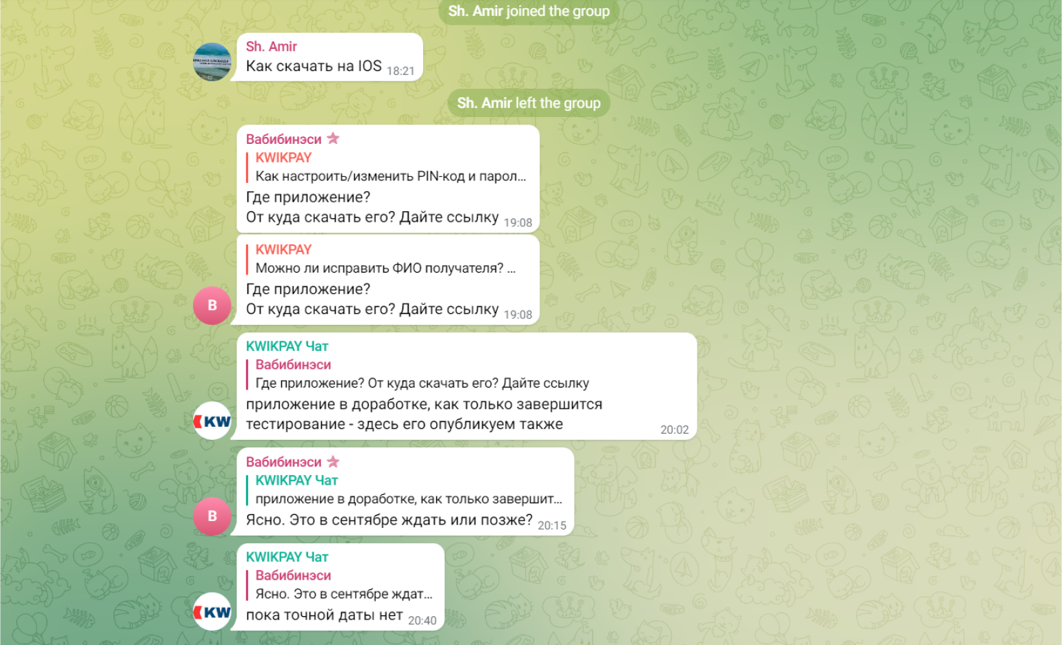 В России появилась новая платёжная система Kwikpay: рассказываем, что о ней известно1