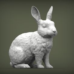 Rabbit rex agouti 3D print model