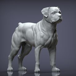 rottweiler 3D print model